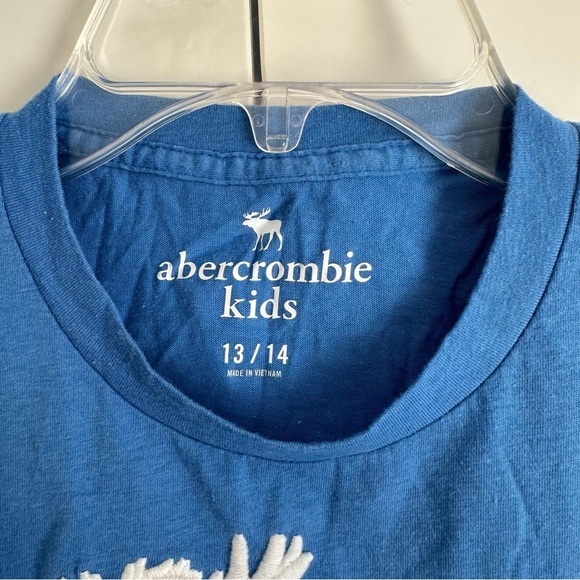 Blue Abercrombie & Fitch Kids T-Shirt - Picture 9 of 9